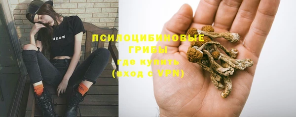 ПСИЛОЦИБИНОВЫЕ ГРИБЫ Арсеньев