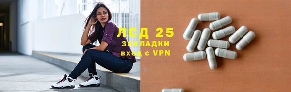 ПСИЛОЦИБИНОВЫЕ ГРИБЫ Арсеньев