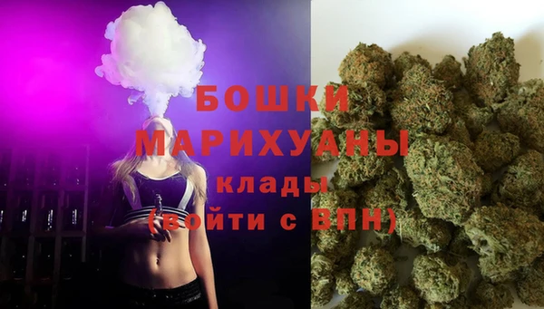 ПСИЛОЦИБИНОВЫЕ ГРИБЫ Арсеньев