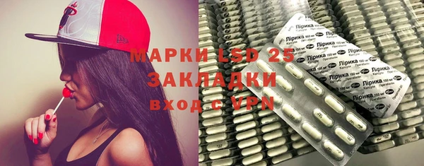 ПСИЛОЦИБИНОВЫЕ ГРИБЫ Арсеньев