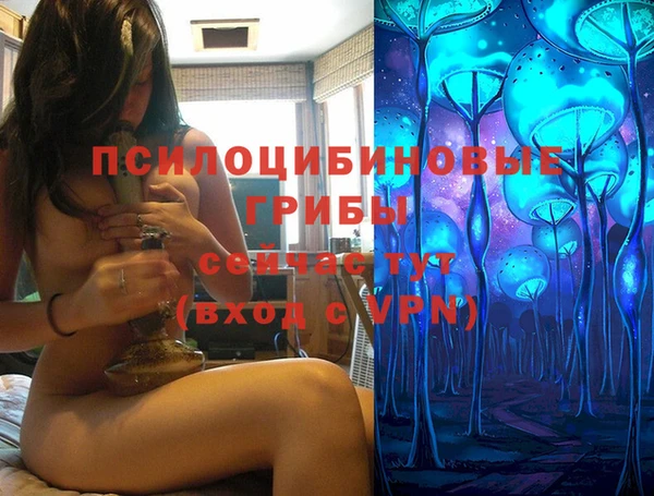 МДПВ Армянск