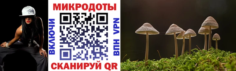 Псилоцибиновые грибы Psilocybe  Купить закладки  Окуловка 