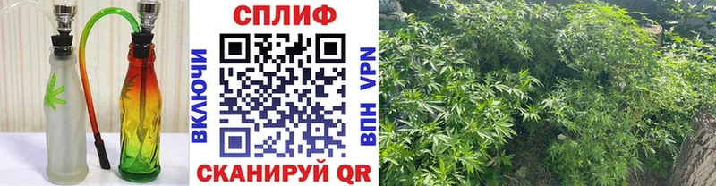 Марихуана ГИДРОПОН  Купить закладки  Окуловка 